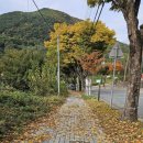 서촌초교병설 이미지