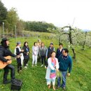 불타는청춘 이미지