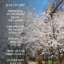 꽃피는언덕 이미지