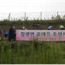 명품꽃마을 이미지