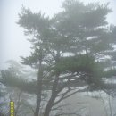 친우농장 | 가평 연인산(09.5.2) 백대명산 제69위
