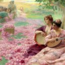 숲 in the grove 이미지