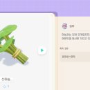 야생타운