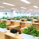 러셀바른공부자습전용관독서실 이미지