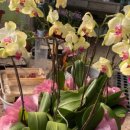 개정꽃농원 이미지