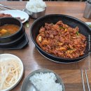 (주)메디온 | 메디온 이노시톨 복용 1주차 후기💊10일차 내돈내산 리뷰