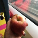 플라워민박 이미지