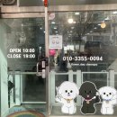 꽃보다예쁘개 | 청주 율량동 사천동 반려견미용 꽃보다예쁘개 재방문 후기