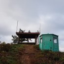동백사거리 이미지