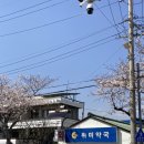 위미약국 네이버블로그