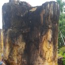 바위농장 이미지