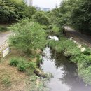 매화마을사거리.매화마을2단지 이미지