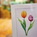 [성인] 색연필로 그리는 꽃 그림 보태니컬 아트 이미지