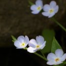 바다그린 이미지