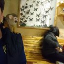 와우플레이스