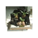 유 농원 이미지