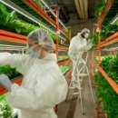 진보농장 이미지