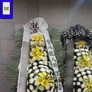 뉴-타운플라워