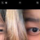 캠버리