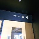 명품호텔세탁동백 | [거제 고현 숙소 추천] 깔끔함의 정석, 비즈니스와 여행 모두 완벽한 '호텔 동백' 실방문 후기