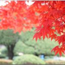 자매공원 이미지