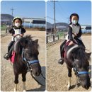 말순농장 | 전주근교 아이와함께 말순농장 아이체험
