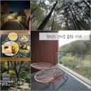 나운리조트숲속동 | 강원 홍천 여행 힐리언스선마을 숲속동 스위트 리조트 부대시설 총정리