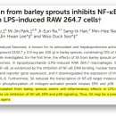 중년과새싹 이미지