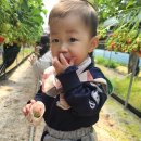 은별농장 이미지