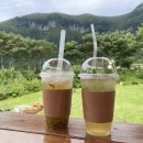 나리다온 이미지