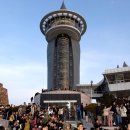 해맞이축제 이미지