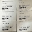 세방카인테리어 | 전라남도 숙소 진도 쏠비치 리조트에서 이른 여름호캉스 어떠세요