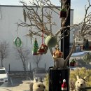 필드키친(평택점) | [평택파스타] 데이트하기에 너무 좋은 평택맛집 '포시즌키친'