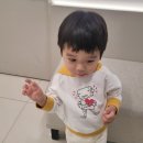 뿌띠보보