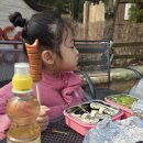 보석랜드 - 화순군 대교로 147-10 | 아기랑 에버랜드 다녀온 후기 3월 비수기 꿀팁 (도시락·사파리·베이비서비스)