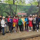 동행노인복지센터 이미지