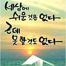 클럽 롯데 네이버블로그