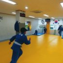 성남 중앙 유도체육관 이미지