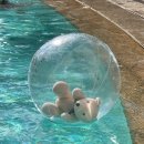 아일랜드 | 국내여행 추천 서울신라호텔 어반아일랜드 호캉스 후기