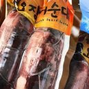 르컬렉티브속초해변 이미지