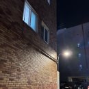 크로스핏 앤츠 | 크로스핏앤츠 쌍문 크로스핏 체험해본 후기