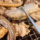 멍텅구리꼼장어 이미지