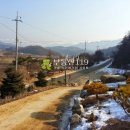 주치길 Daum카페