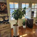 무봉리순대국 이미지