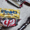 유림체육관 이미지