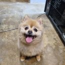 오도독뽀도독 이미지