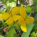 당구장 가는길 이미지