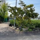 광령지석묘 2호 이미지