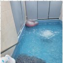 스테이 아델 이미지