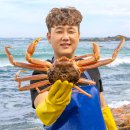 오어사 | 오어사맛집영진식당